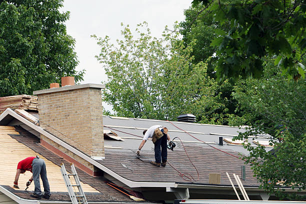 Best Shingle Roofing Installation  in West Van Lear, KY