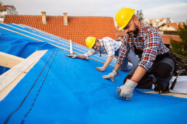 Best Best Roofing Contractors  in West Van Lear, KY