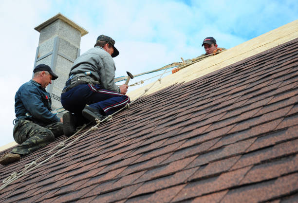Best Residential Roofing Contractor  in West Van Lear, KY