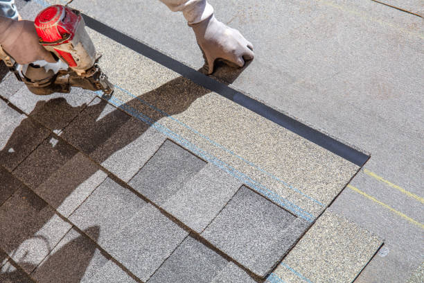 Best Roof Leak Repair  in West Van Lear, KY