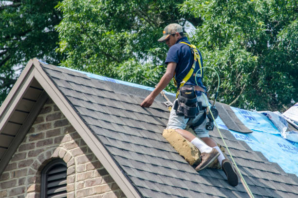 Best Metal Roofing Contractor  in West Van Lear, KY